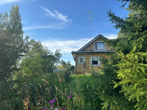 Property building, Natural landscape, Garden, Garden view