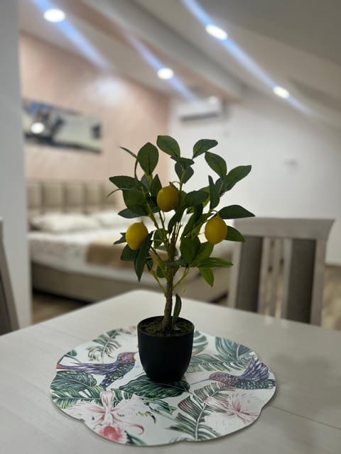 Apartment Tri limuna 3 Apartment in Kotor Municipality