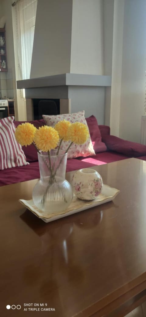 Patoliko Apartment in Halkidiki