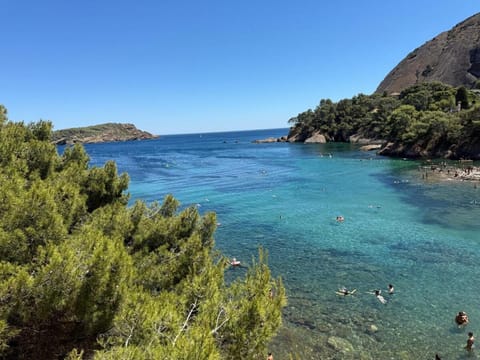 Le Sudiste Apartment in La Ciotat