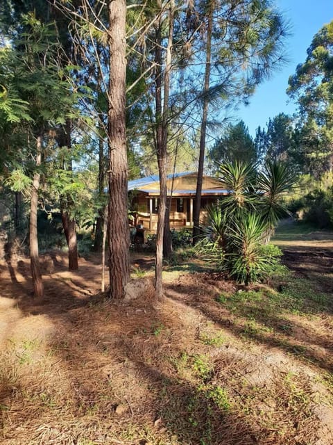 Property building, Natural landscape