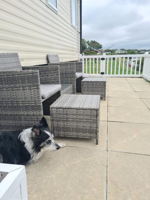 Patio, Balcony/Terrace, Seating area, Pets