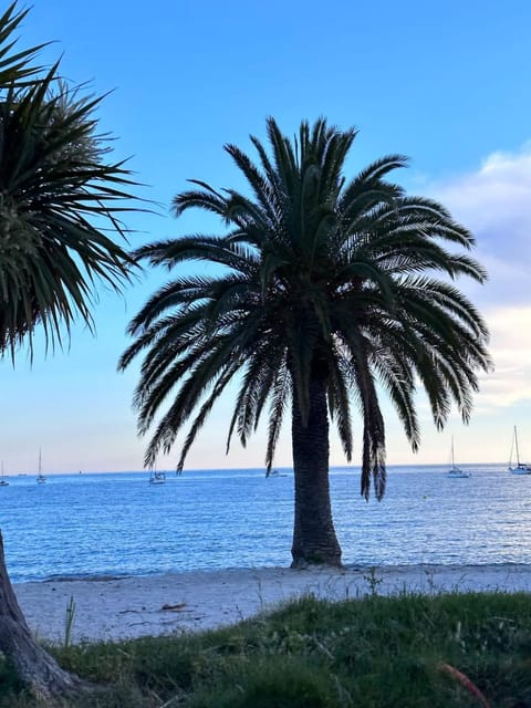 Il Piccolo - Cosy emplacement de rêve Apartment in French Riviera