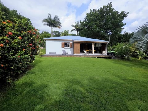 Property building, Natural landscape, Garden