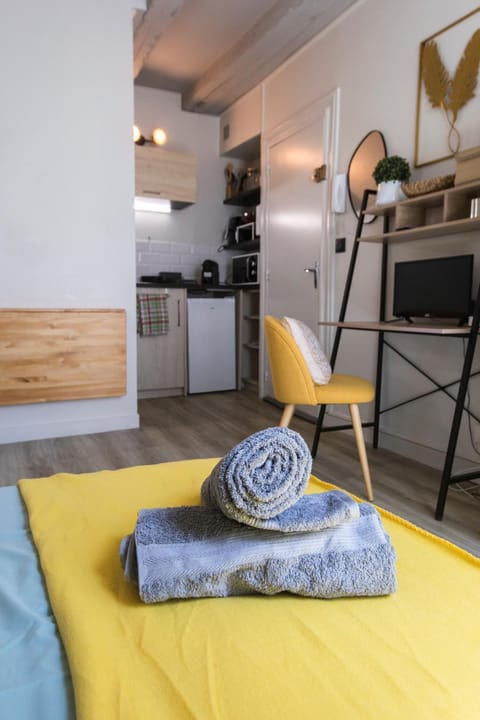 Studio Cosy Les 3 écritoires, hyper centre, wifi, VELORA Apartment in Saint-Cyr-sur-Loire