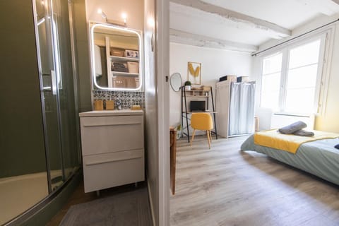 Studio Cosy Les 3 écritoires, hyper centre, wifi, VELORA Apartment in Saint-Cyr-sur-Loire