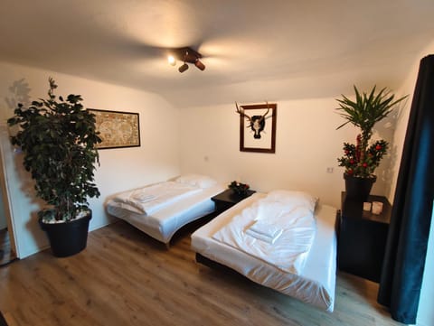 Bed, Living room, Photo of the whole room, Bedroom