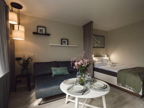 Bed, Living room, Photo of the whole room, Seating area