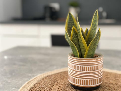 Fährhaus Apartment in Schleswig-Holstein