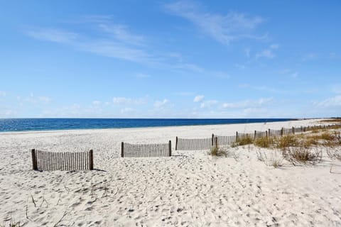 Tranquil Harbor 311 - Sea Forever By Pristine Properties Vacation Rentals Apartment in Mexico Beach