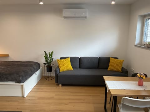 Living room, Seating area, air conditioner