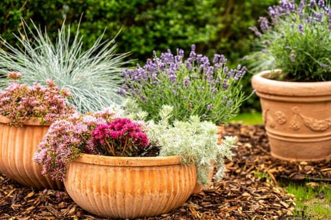 Spring, Day, Garden, Garden view