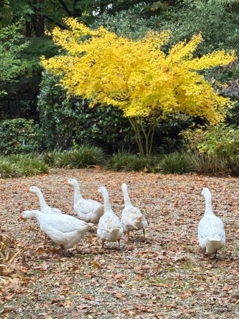 A Calm & Quiet Stay Vacation rental in North Brabant (province)