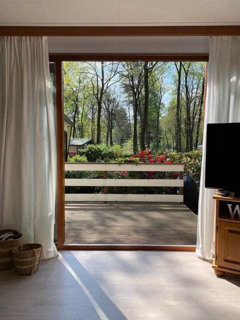 Natural landscape, Garden, Garden view