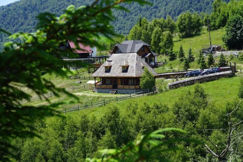 Property building, Natural landscape
