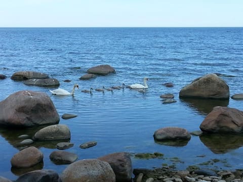 Natural landscape, Beach, Lake view, Sea view