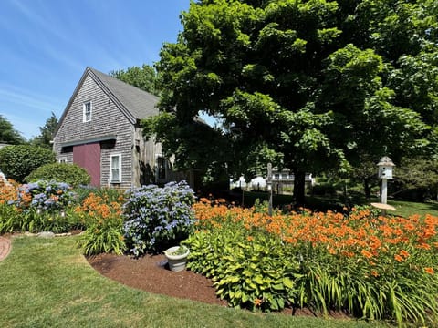 Spring, Day, Natural landscape, Garden, Garden, Garden view