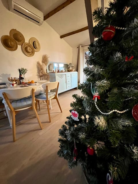 Joli cocon sous les toits au cœur de Vence et sa charmante terrasse tropezienne Apartment in Vence