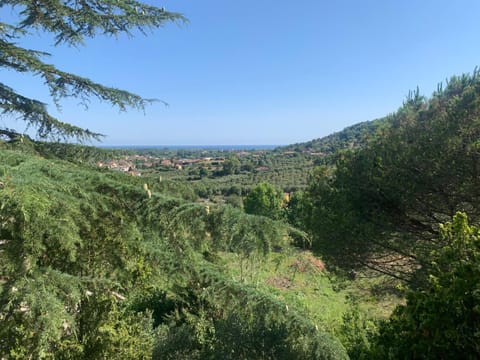 Day, Natural landscape, Sea view