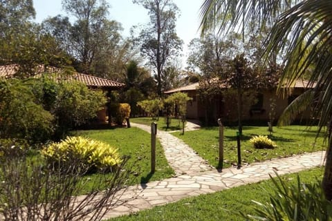 Natural landscape, Garden, Garden view