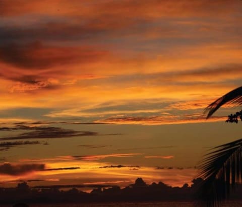Natural landscape, Sunset