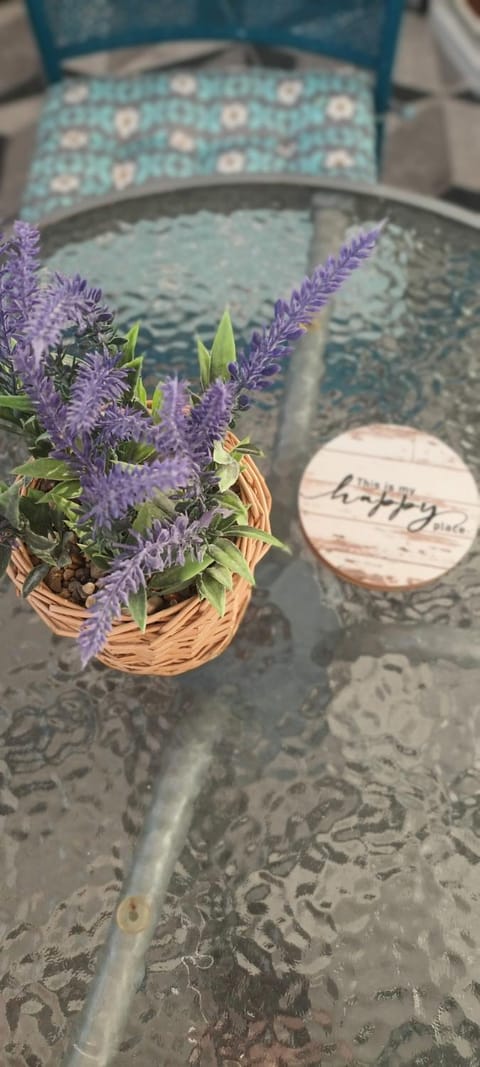 Apartman Lavanda Apartment in Vojvodina