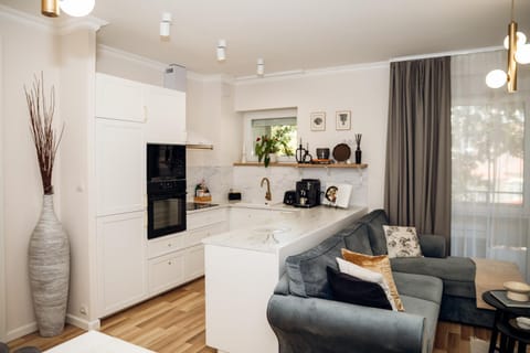 Kitchen or kitchenette, Living room