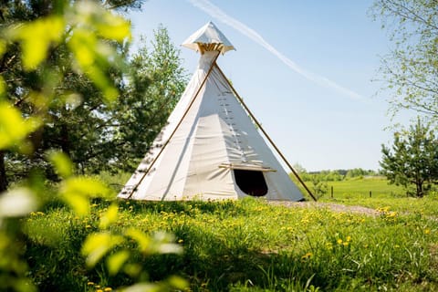 Briedžio sapnas Luxury tent in Vilnius