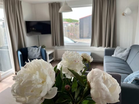 Hello Zeeland - Chalet Gapingseweg 5 Chalet in Zeeland, Netherlands