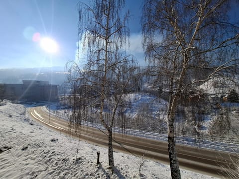 Property building, Day, Natural landscape, Winter