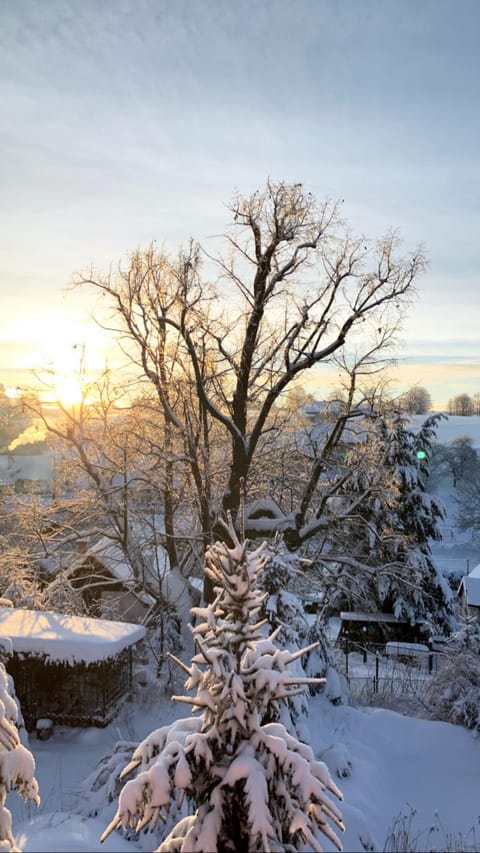 Winter