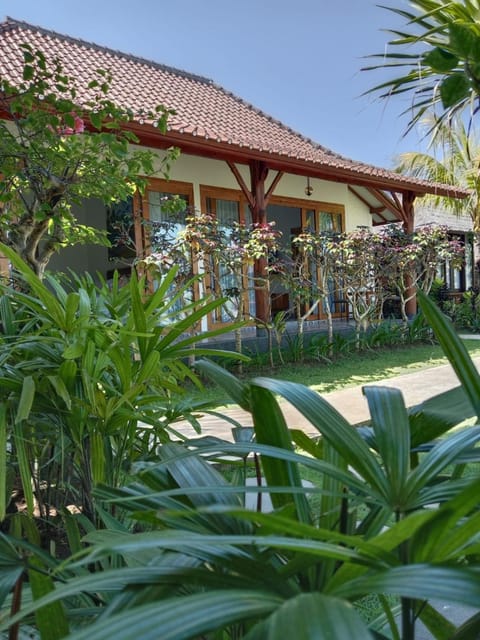 Uma Desa - Surf And Stay Medewi Bed and Breakfast in Pekutatan