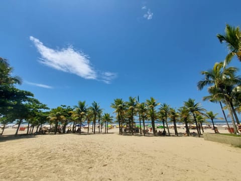 Natural landscape, Beach