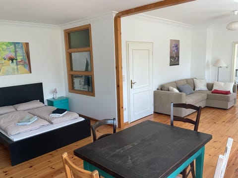 Bed, Living room, Photo of the whole room, Seating area, Bedroom