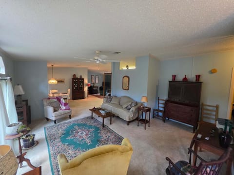 Hidden Gem House in Hernando