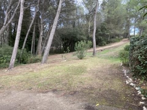 Maison t3 climatisée avec accès piscine à vagues, Domaine de Pont Royal - FR-1-658-37 House in Mallemort