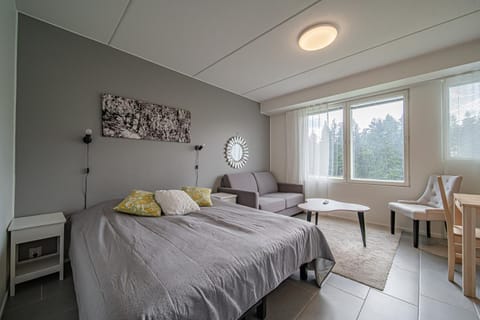 Bed, Living room, Photo of the whole room, Seating area, Dining area, Bedroom, heating, internet, towels