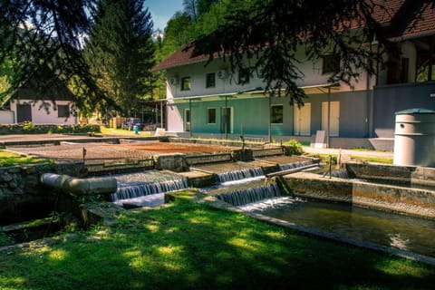 Property building, Garden