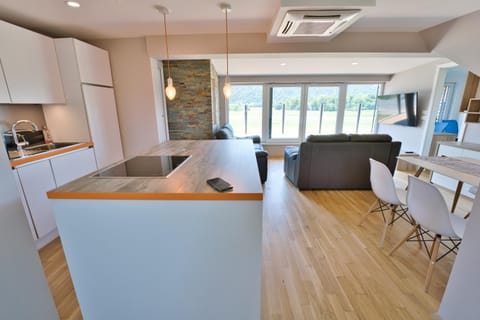 Kitchen or kitchenette, oven, stove