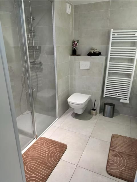 Shower, Toilet, Bathroom, towels