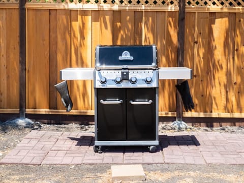 Patio, BBQ facilities