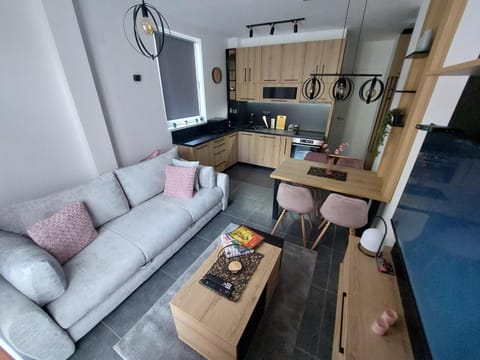 Kitchen or kitchenette, Living room, Seating area, Dining area