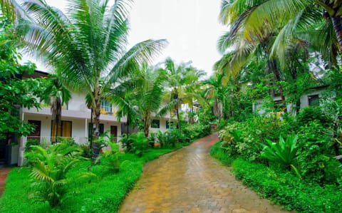 Property building, Garden, Garden view