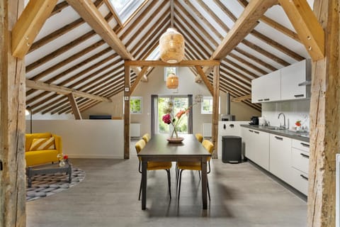 Kitchen or kitchenette, Living room, Seating area, Dining area, oven, stove
