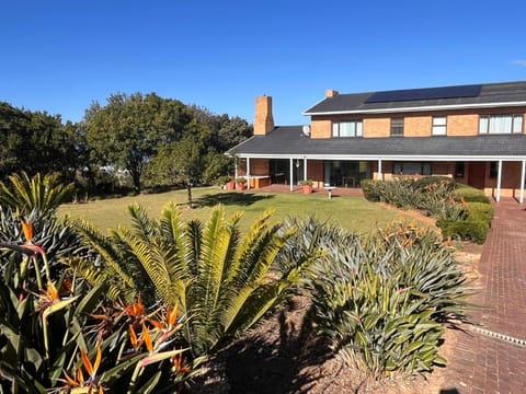 Property building, Garden, Garden view