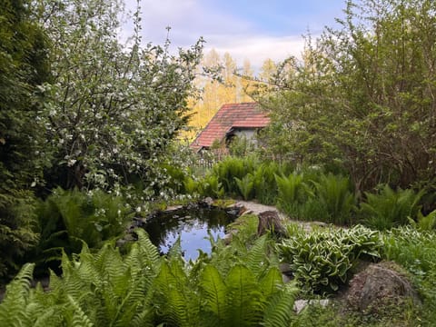 Natural landscape, Garden, Garden view, Lake view