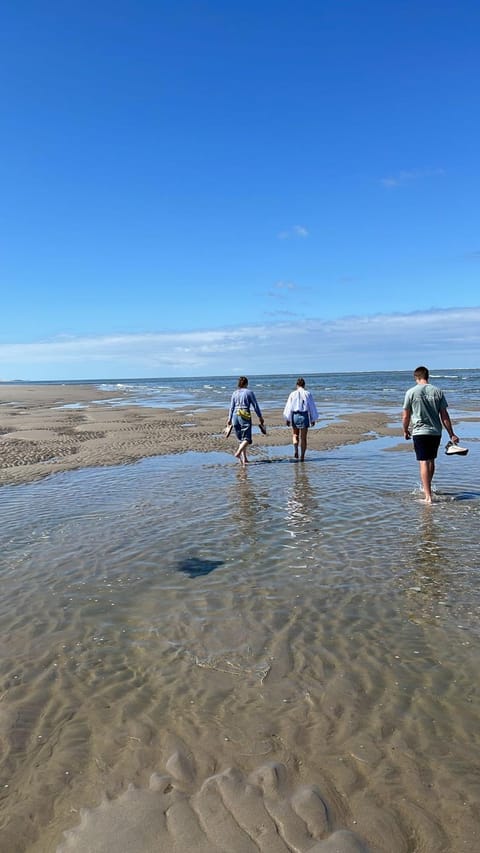 Strandhuisje Anna dicht bij de zee Chalet in Ouddorp