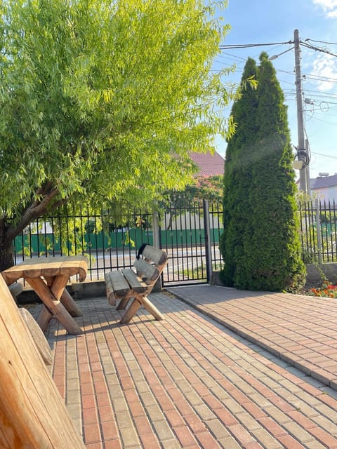 Patio, Spring, Garden, Garden view