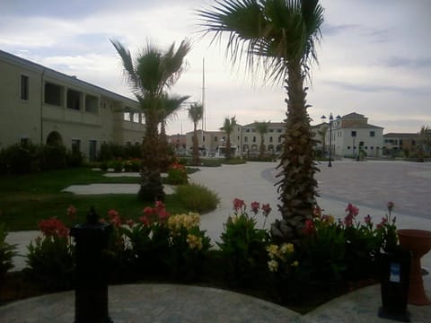 Natural landscape, Garden, Location