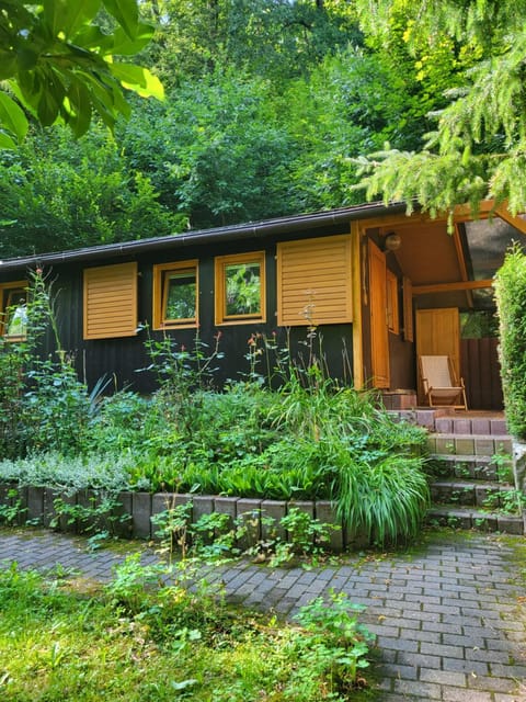Property building, Natural landscape, Garden, Garden view